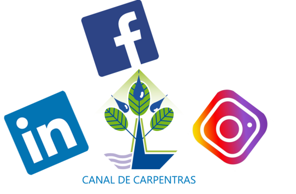 Le canal présent sur les <span>réseaux sociaux</span>