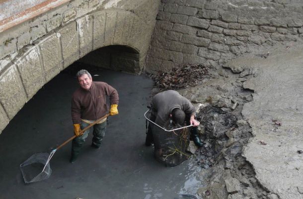 Pêche électrique <span>sur un siphon de l'ASA</span>